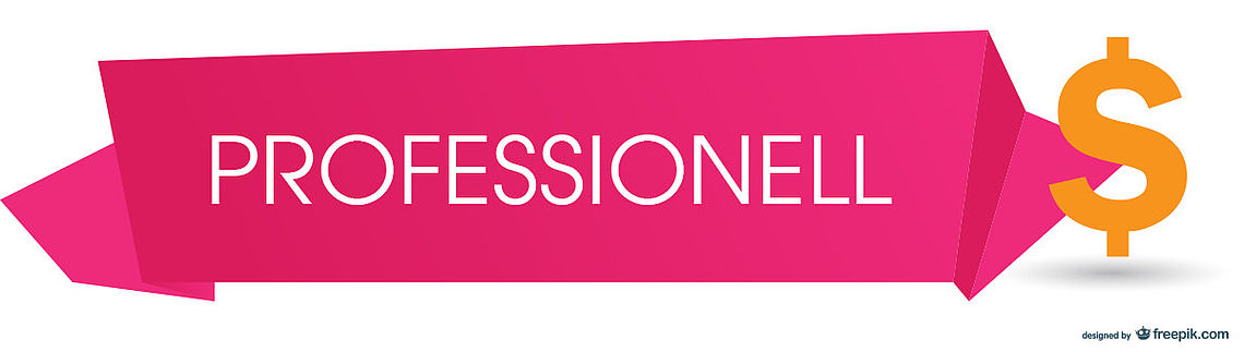 Professionalisierung des E-Commerce