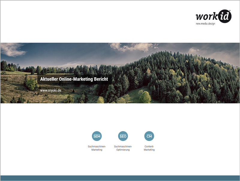 Onlineshop Webanalyse Reporting